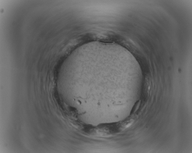 X0000066080223200603311943