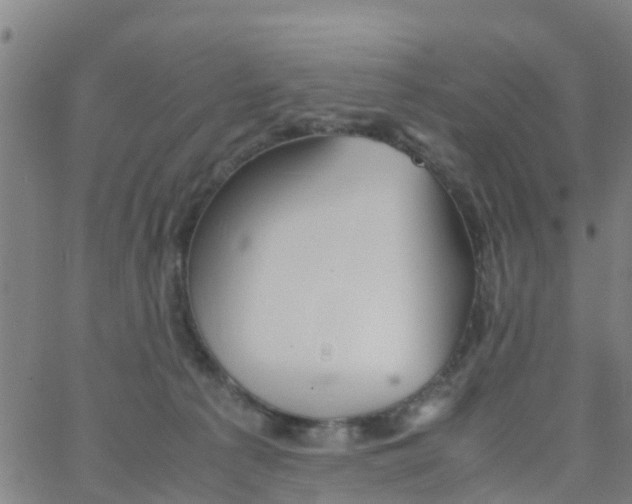 X0000066080225200603311943