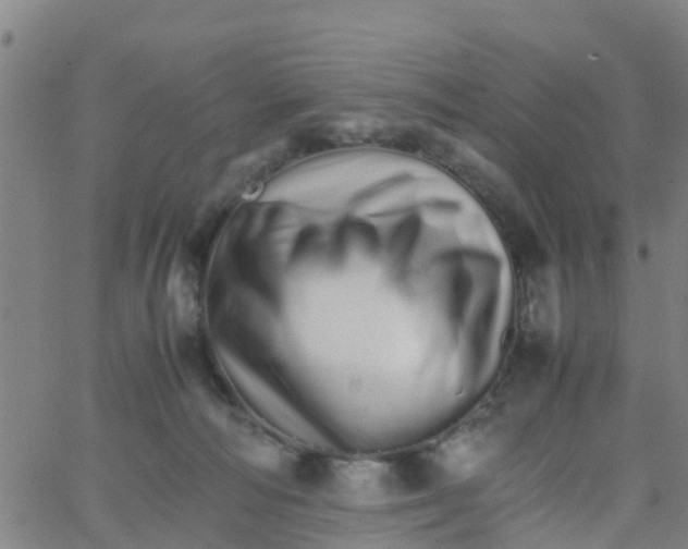 X0000066080226200603311943