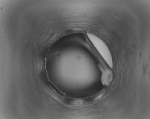 X0000066080227200603311943