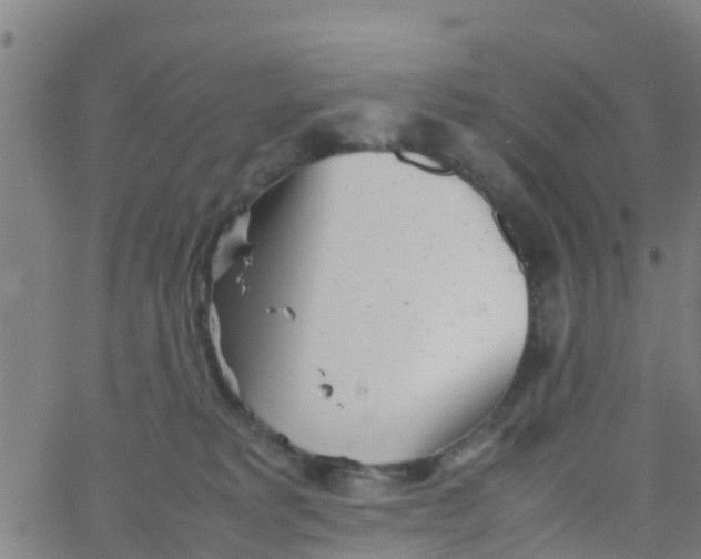 X0000066080229200603311943