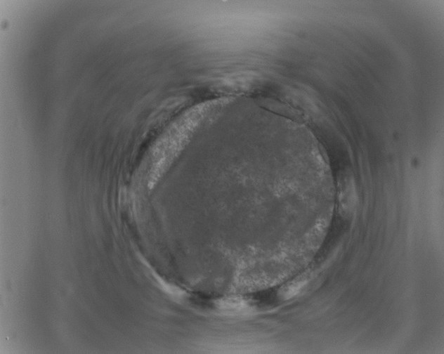 X0000066080231200603311943