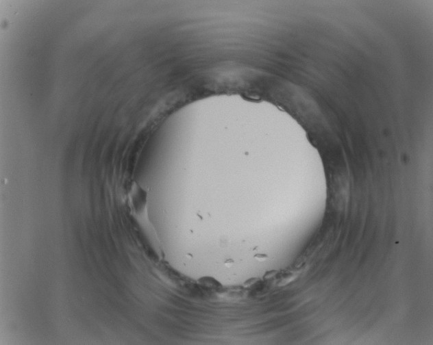 X0000066080232200603311943