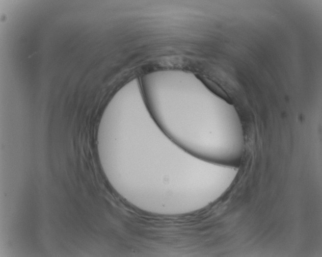 X0000066080233200603311943