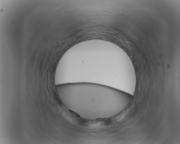 X0000066080235200603311943