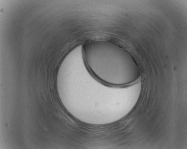 X0000066080239200603311943