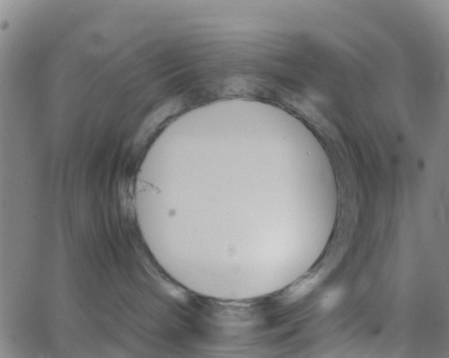 X0000066080240200603311943