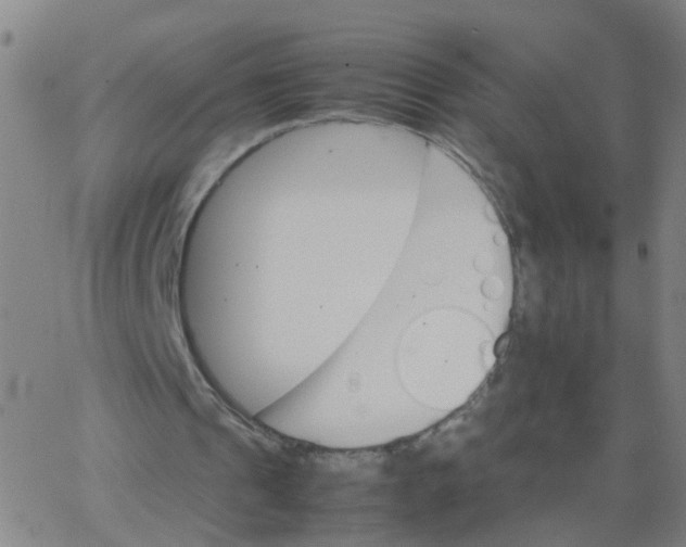 X0000066080241200603311942