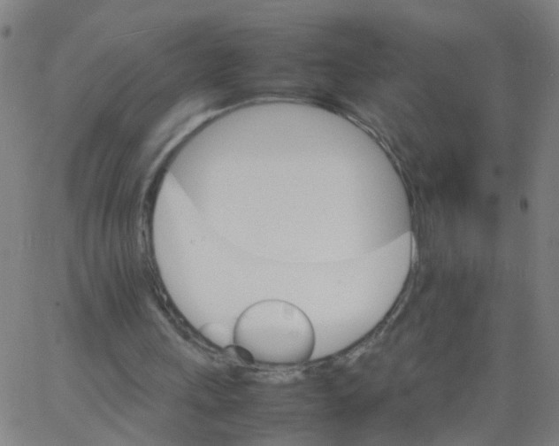 X0000066080243200603311942