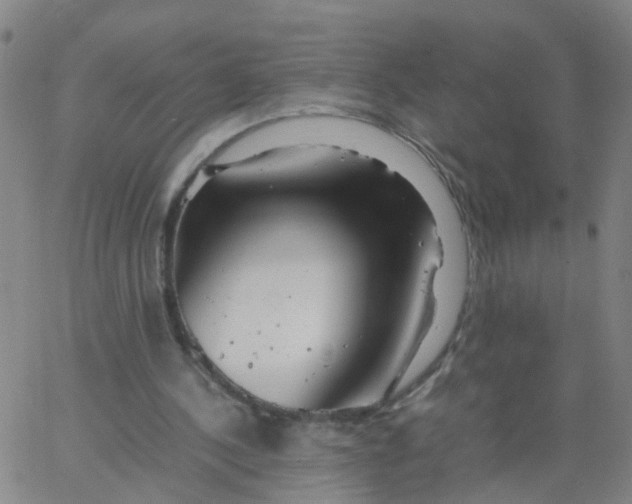 X0000066080244200603311942