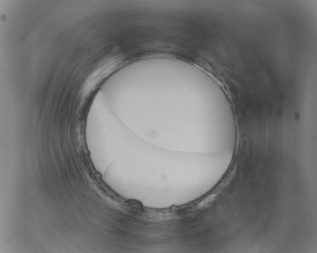 X0000066080245200603311942