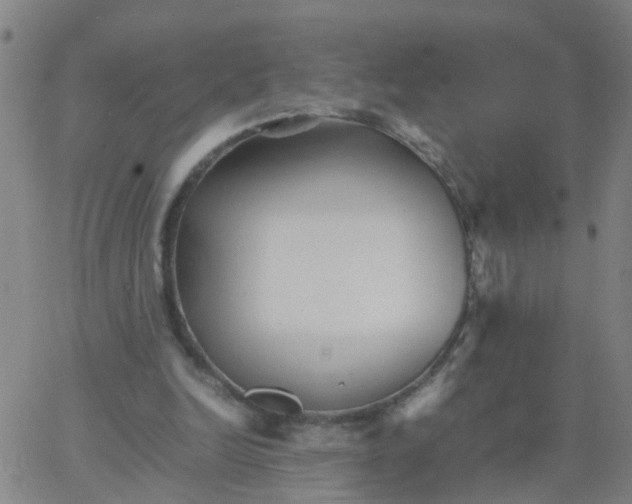 X0000066080246200603311942