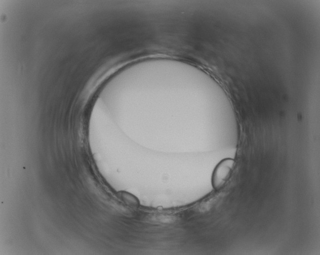 X0000066080247200603311942