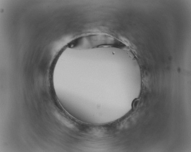 X0000066080248200603311942