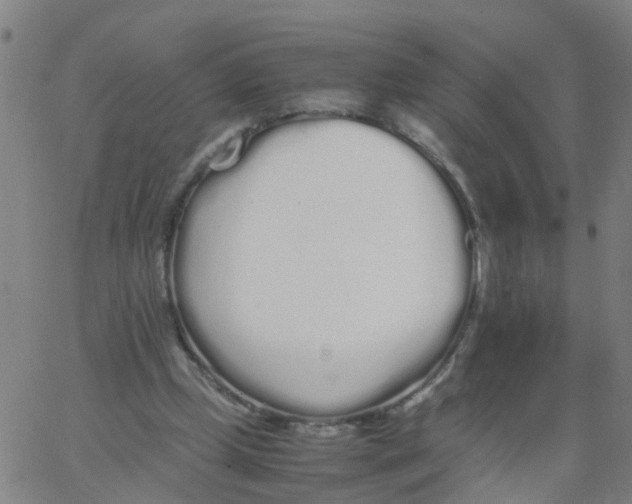 X0000066080249200603311942