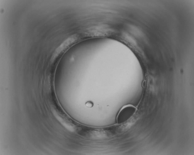 X0000066080250200603311942