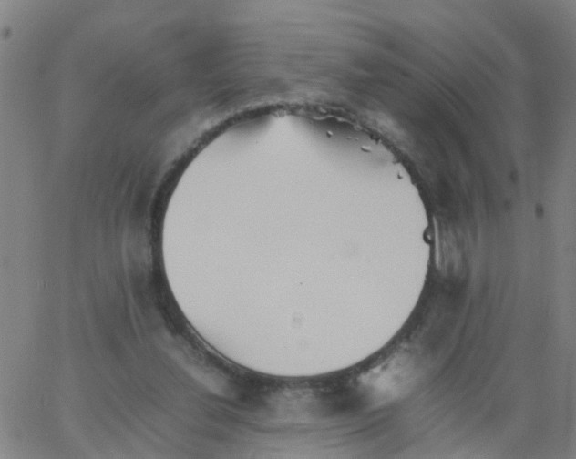 X0000066080252200603311942