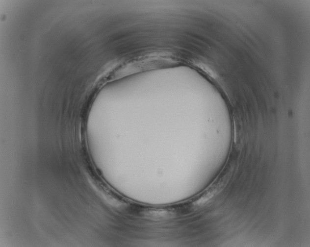 X0000066080253200603311942