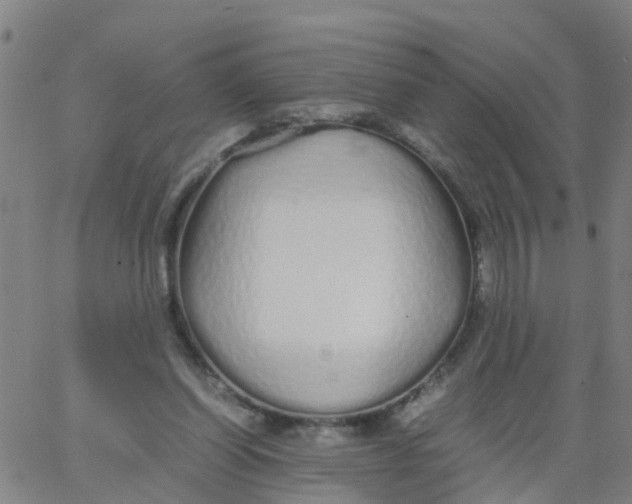 X0000066080254200603311942