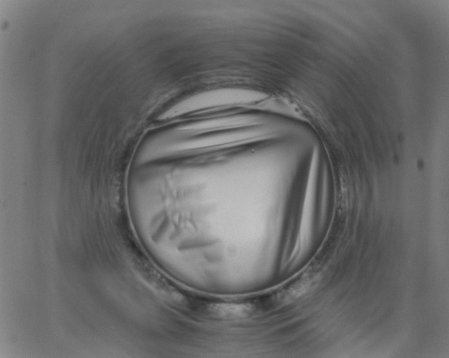 X0000066080255200603311942