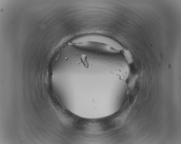 X0000066080256200603311942