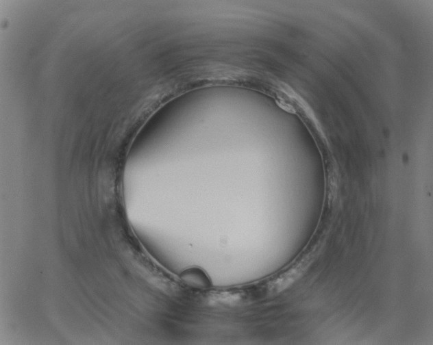 X0000066080257200603311942