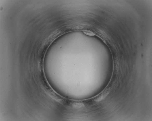 X0000066080258200603311942