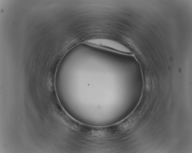 X0000066080259200603311942