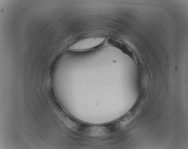 X0000066080261200603311942