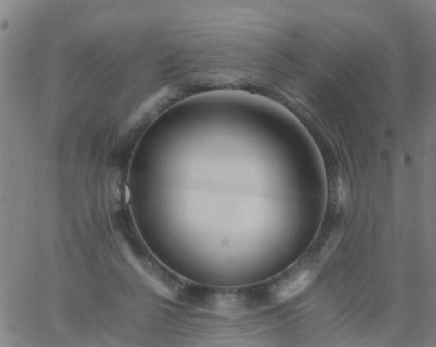 X0000066080264200603311942