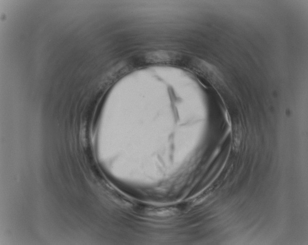 X0000066080267200603311942