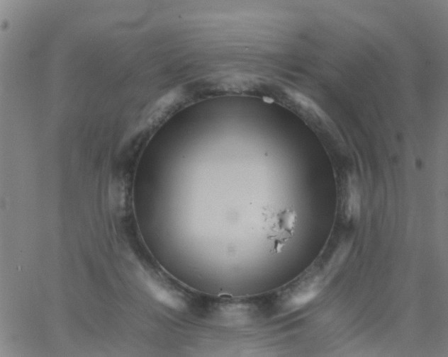 X0000066080268200603311942