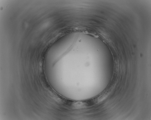 X0000066080269200603311942