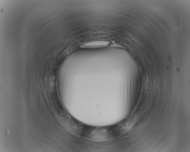 X0000066080271200603311943