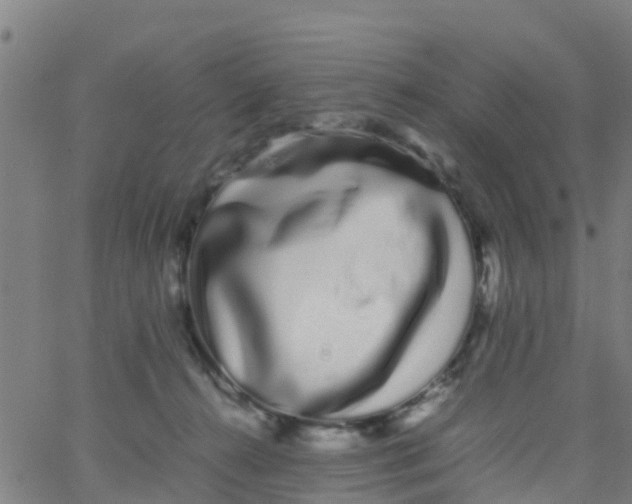 X0000066080272200603311943