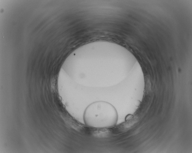 X0000066080274200603311943