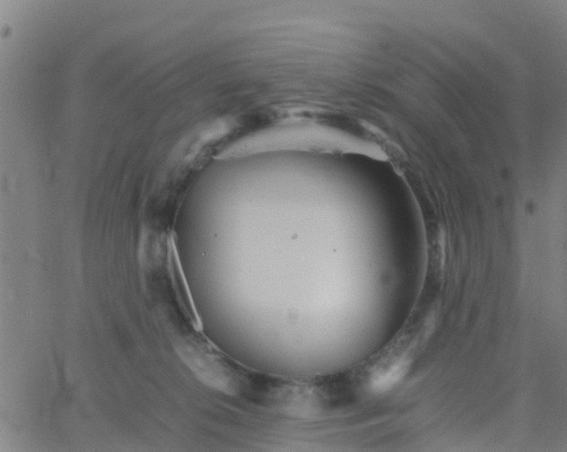 X0000066080276200603311943