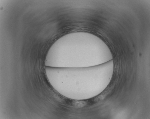 X0000066080277200603311943