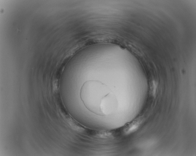 X0000066080278200603311943