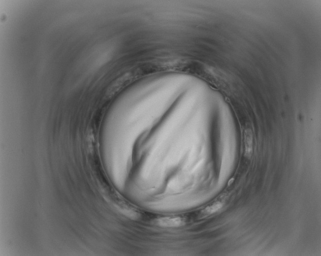 X0000066080279200603311943