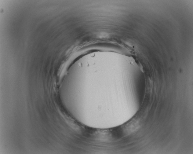 X0000066080280200603311943