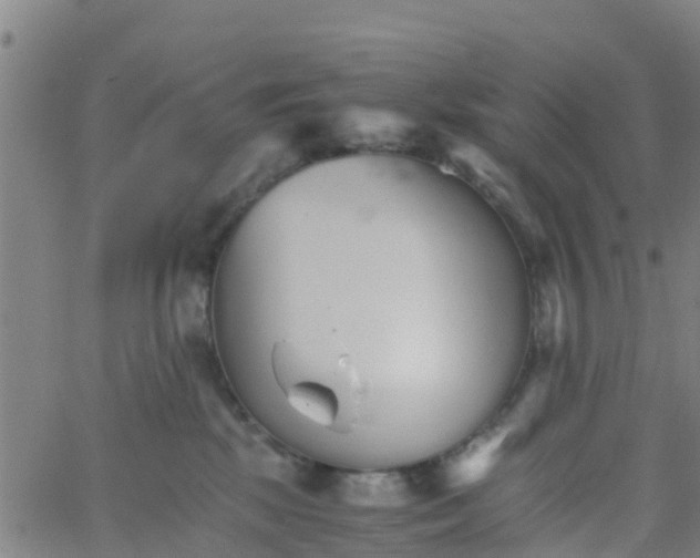 X0000066080281200603311943