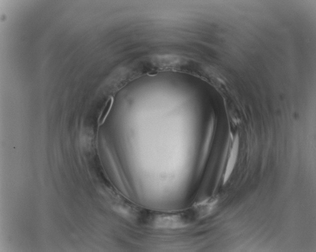 X0000066080283200603311943