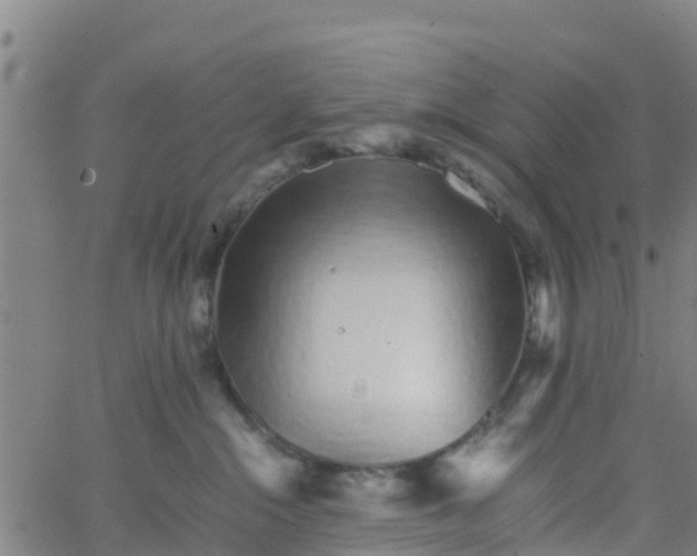 X0000066080284200603311943