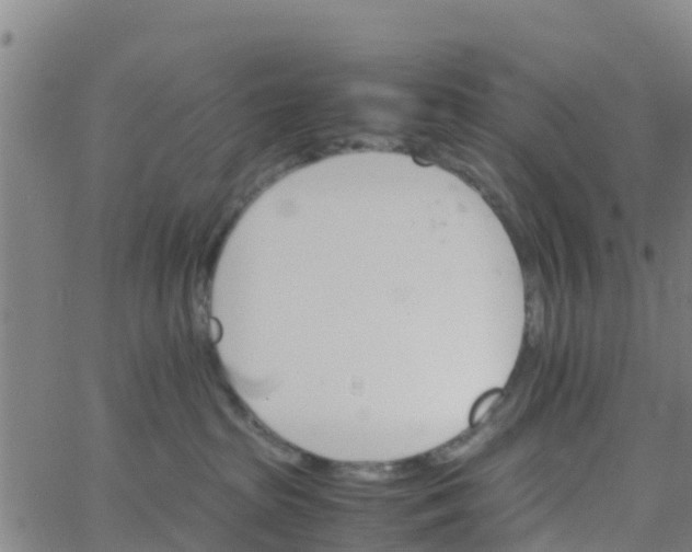 X0000066080285200603311943