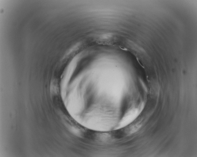 X0000066080287200603311943