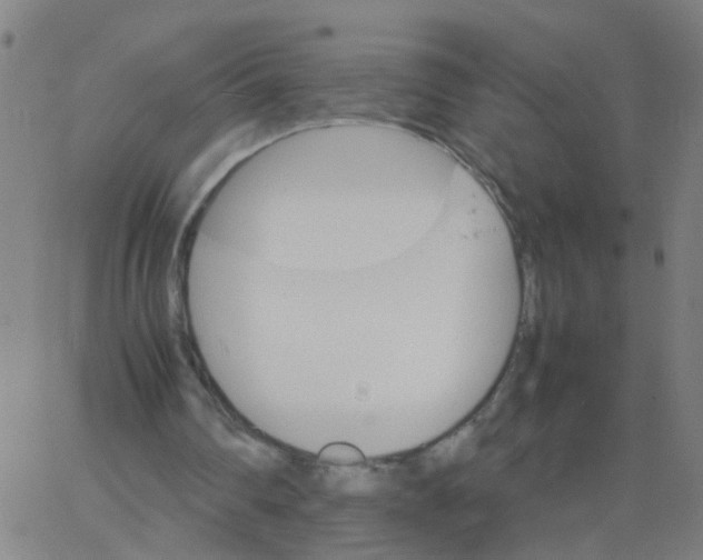 X0000066080290200603311942