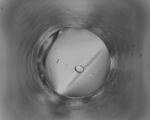 X0000066080291200603311942