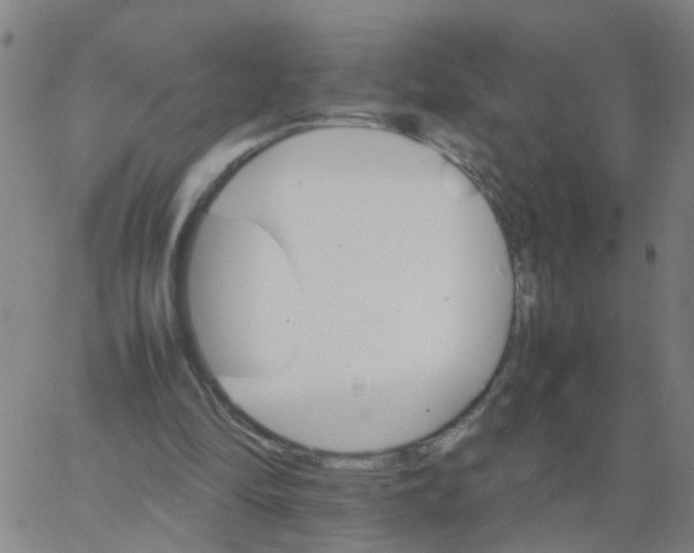 X0000066080294200603311942