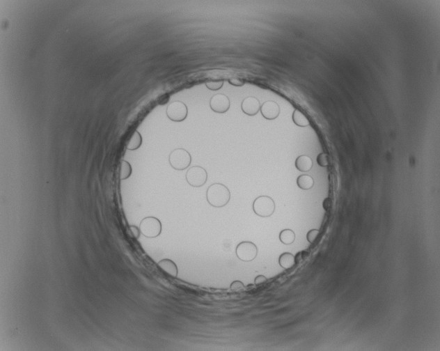 X0000066080297200603311942